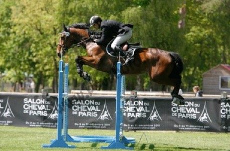 Ecurie Jérémy Toulzac - photo 1