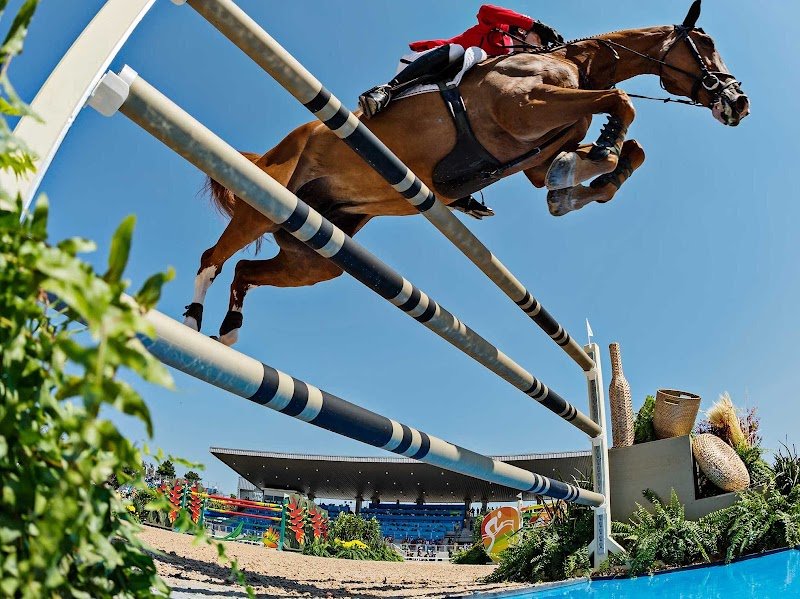 Ecurie Jérémy Toulzac - photo 2