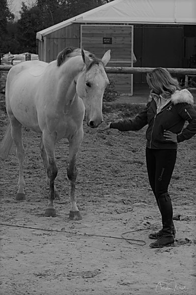 Du cheval à l'homme - photo 1