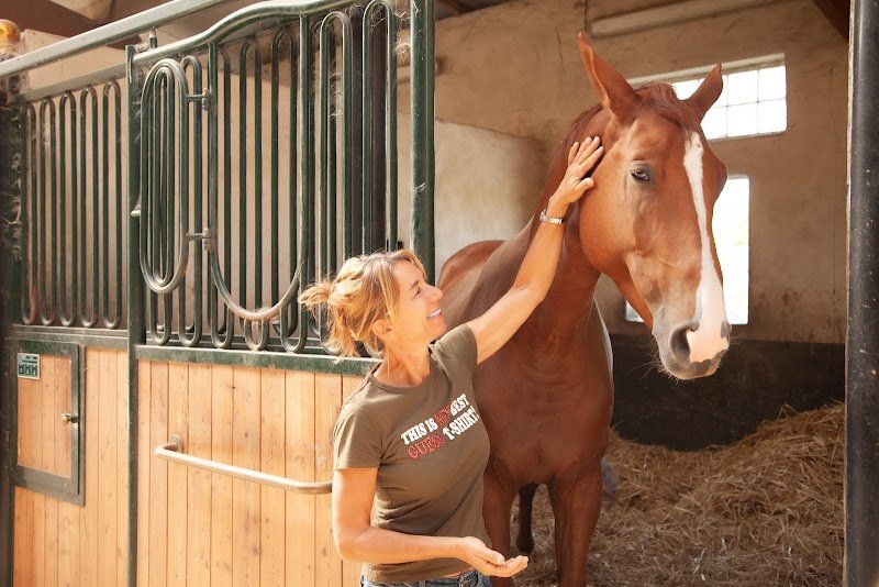 Du cheval à l'homme - photo 2