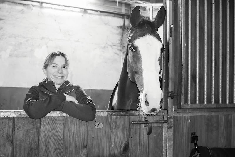 Du cheval à l'homme - photo 3