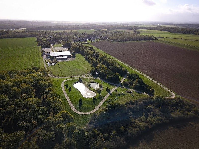 Écurie Barbara Klinger - photo 2