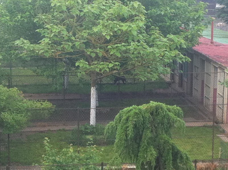 Pension Paris-Normandie