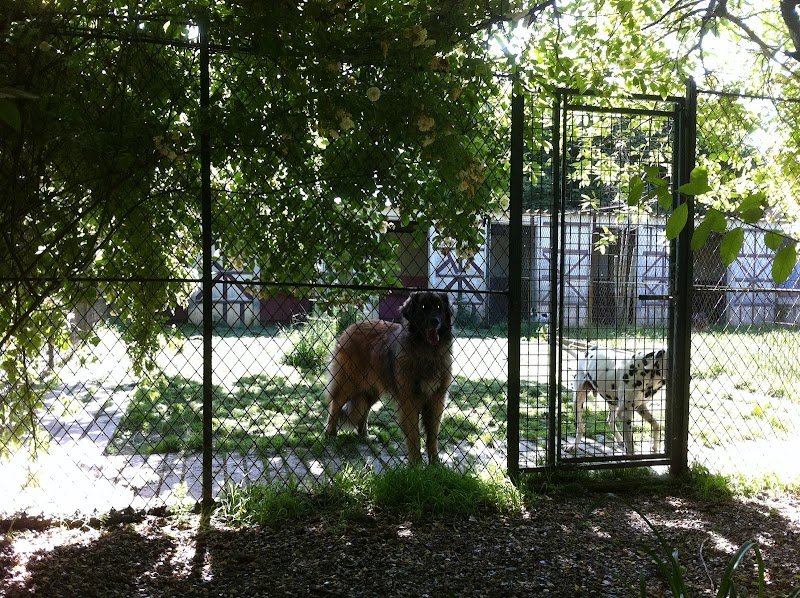 Pension Paris-Normandie - photo 2