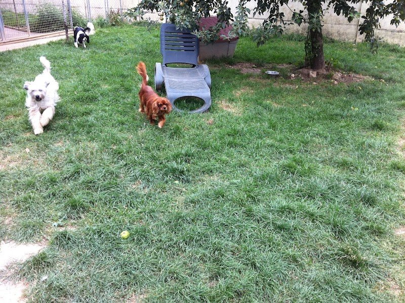 Pension Paris-Normandie - photo 3