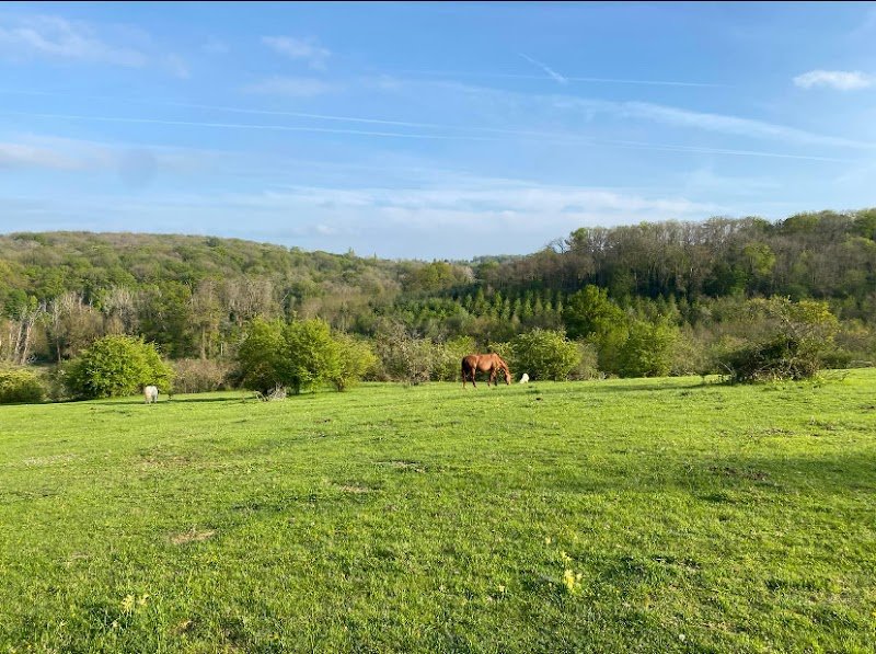 Ecurie Damien Thirot