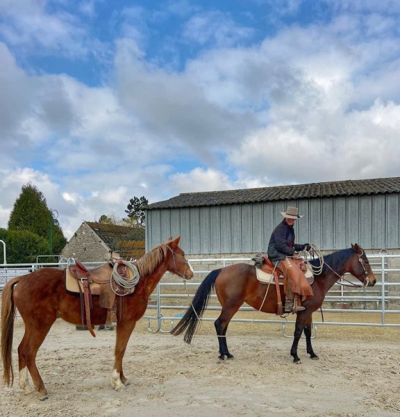 Vexin Horsemanship - photo 1