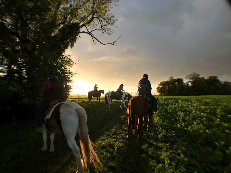 Vexin Horsemanship - photo 2