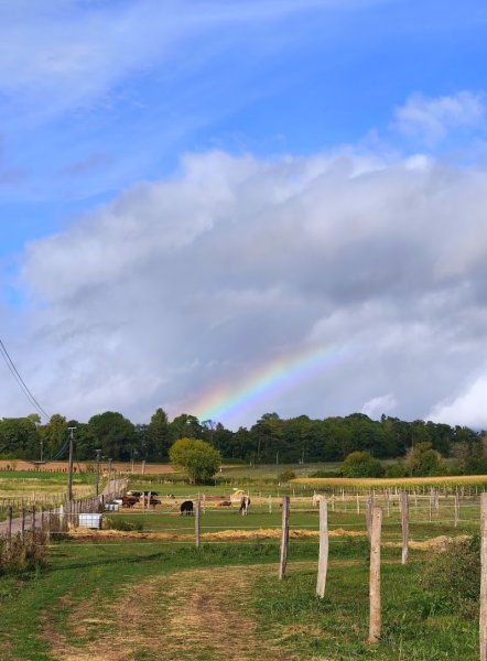 Vexin Horsemanship - photo 3
