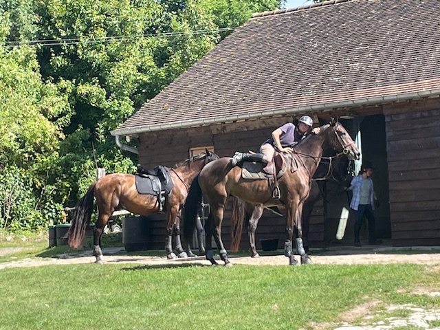 HARAS DES FOULONS - photo 1