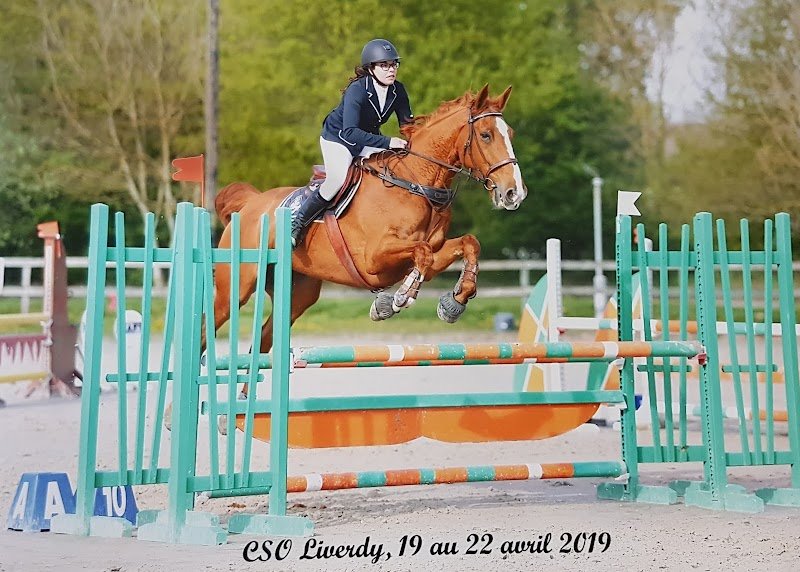 ECURIE SOPHIE MARCHAND - photo 1