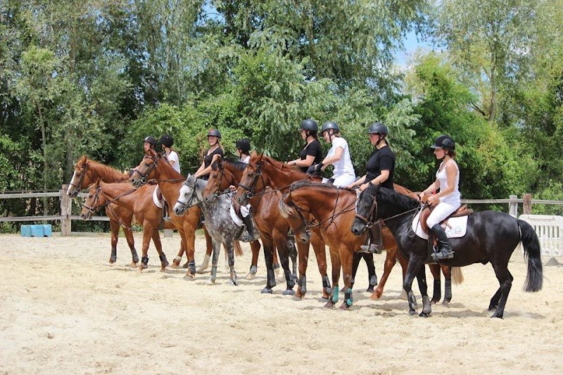 ECURIE SOPHIE MARCHAND - photo 2