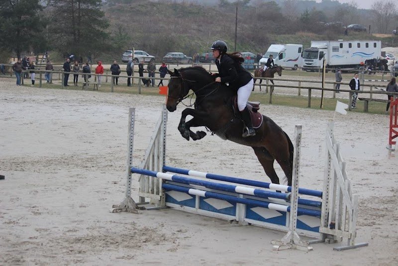 ECURIE SOPHIE MARCHAND - photo 3