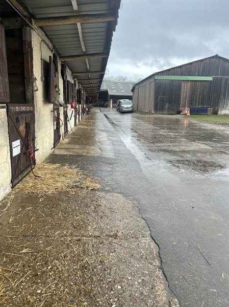 Écurie des Bergeries - photo 3