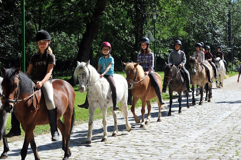 Poney Club du Port aux Cerises - photo 2