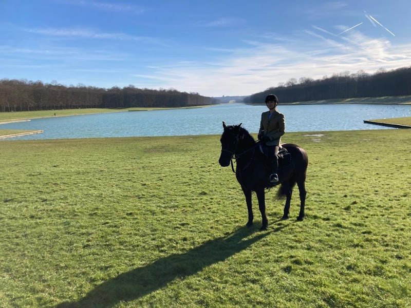 Horse in the City - photo 2