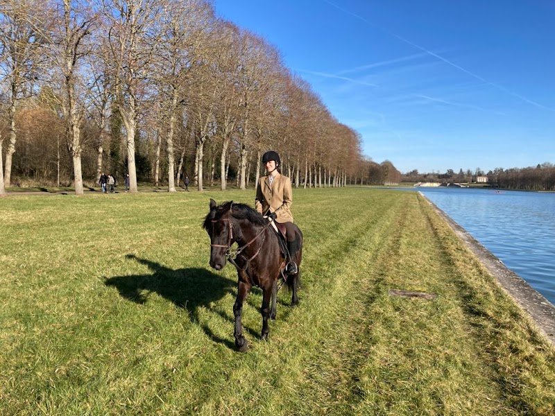 Horse in the City - photo 3