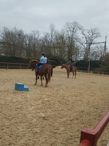 Poney Club des Ulis - photo 2