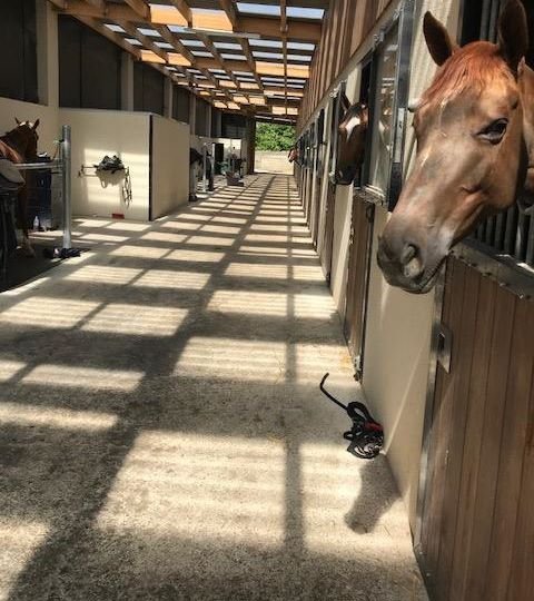 Centre Equestre La Calèche - photo 1