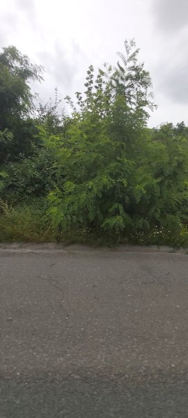 Centre Equestre Grange Martin