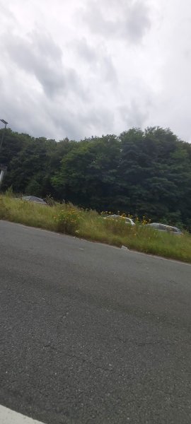 Centre Equestre Grange Martin - photo 3