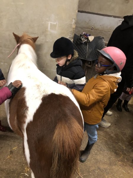 Club Hippique Etoile Blanche