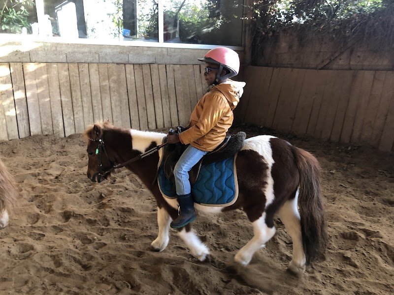 Club Hippique Etoile Blanche - photo 2