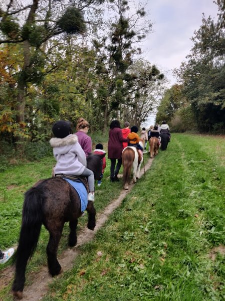 Club Hippique Etoile Blanche - photo 3