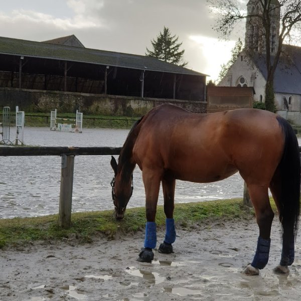 Centre Hippique de Fontenay-le-Vicomte
