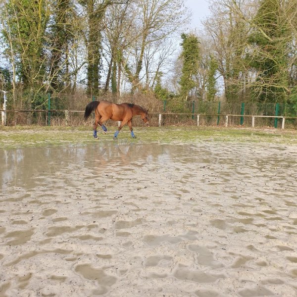 Centre Hippique de Fontenay-le-Vicomte - photo 2