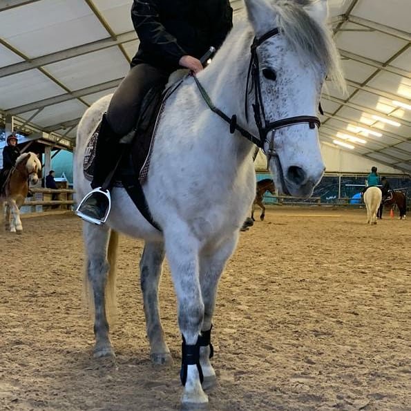 Poney-Club du Bois de Verrières