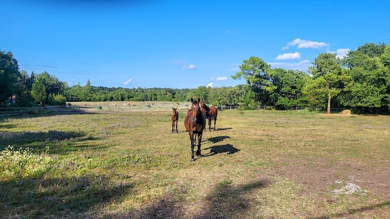 Ecurie Villa Verdé - photo 2