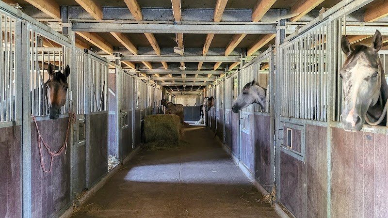 Ecurie Villa Verdé - photo 3