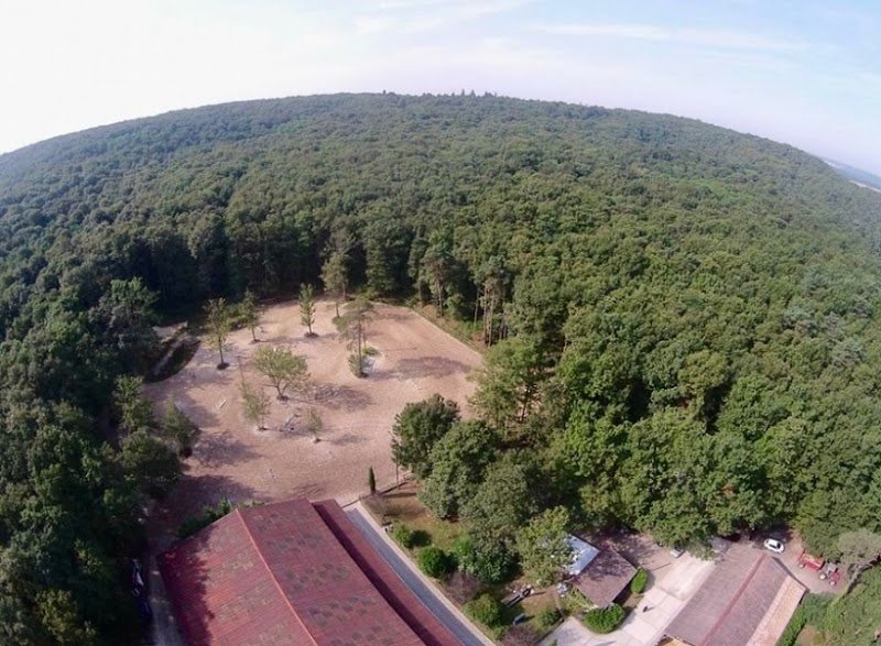 Écurie Emmanuel Biondi - photo 3