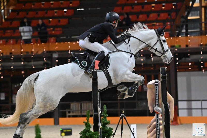 Adrien Chabot Sporthorses - photo 1