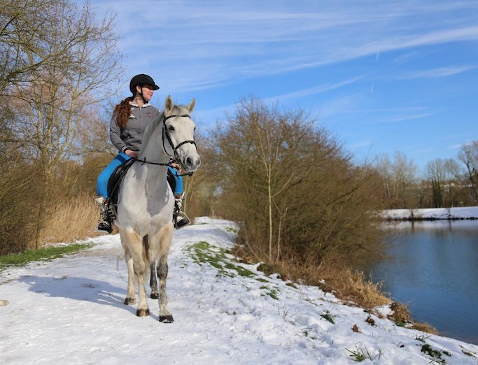 Poney Club du Lormoy - photo 3