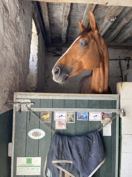 Les Ecuries de Lardy - photo 1