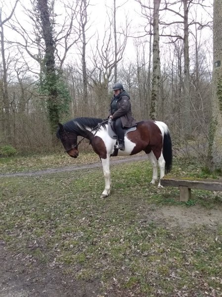 Les Ecuries de Lardy - photo 2