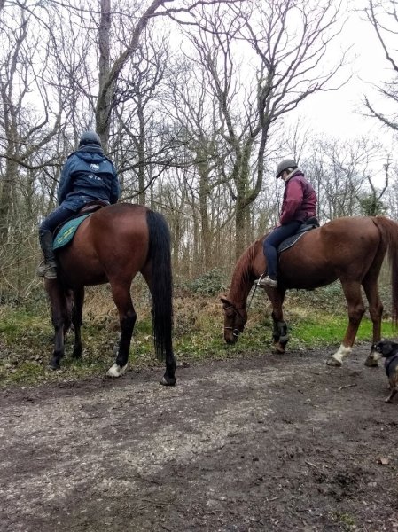 Les Ecuries de Lardy - photo 3