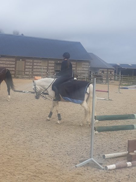 CENTRE EQUESTRE ELEVAGE DU LOIR - photo 1