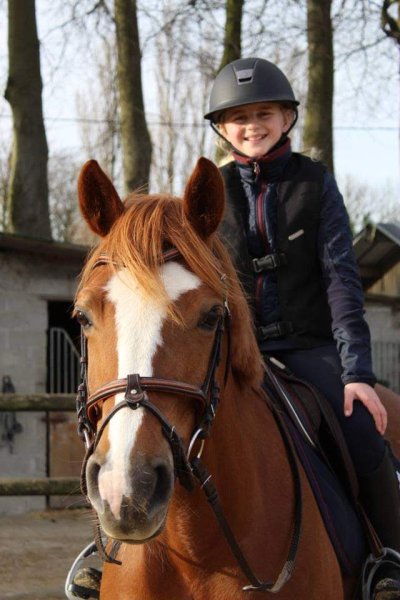 CENTRE EQUESTRE ELEVAGE DU LOIR - photo 3