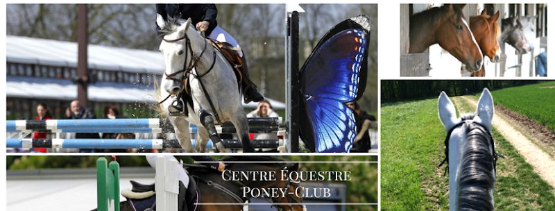 Haras de la Lisière