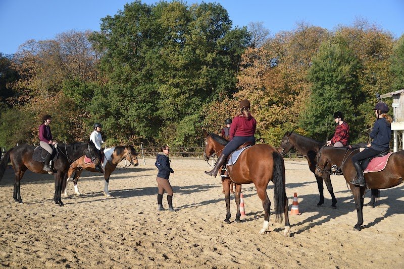 Haras de la Lisière - photo 2