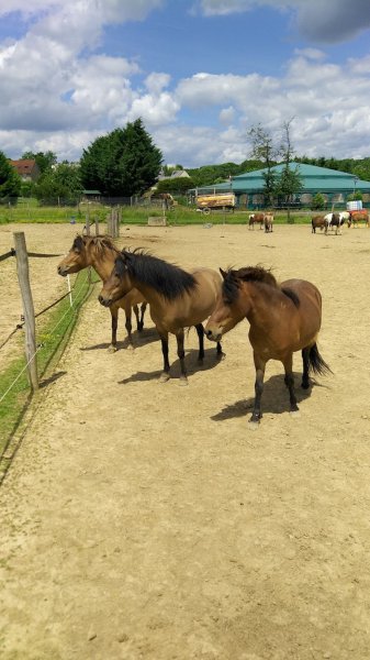 Centre Equestre des Molières