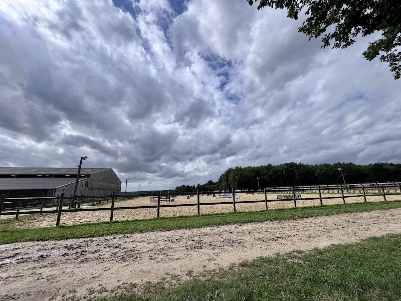 CLB Sporthorses - photo 2