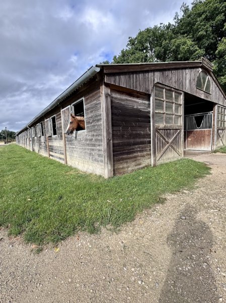 CLB Sporthorses - photo 3