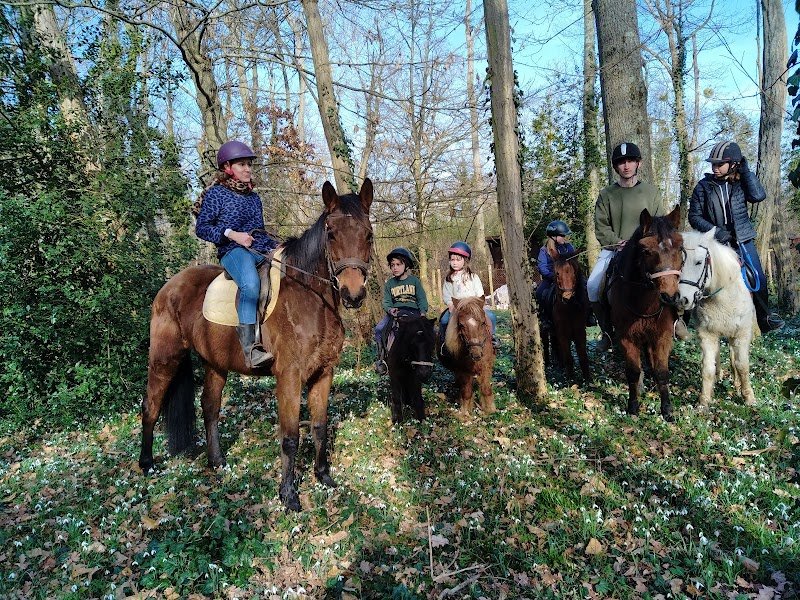 Les Poneys d'Abord - photo 1