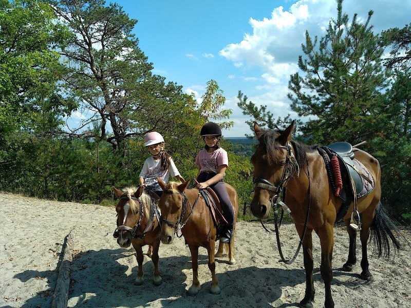 Les Poneys d'Abord - photo 2