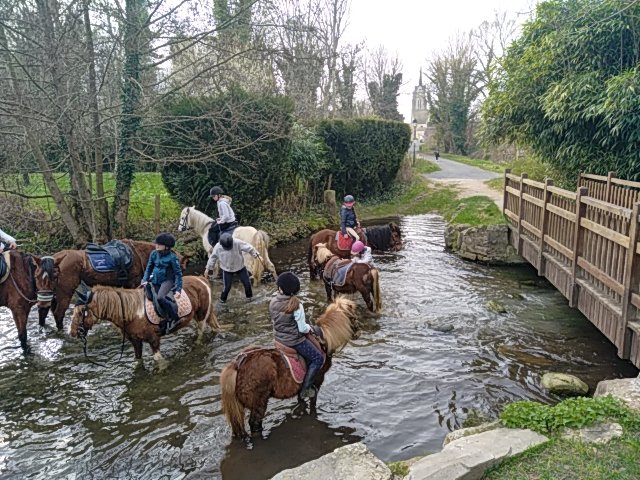 Les Poneys d'Abord - photo 3