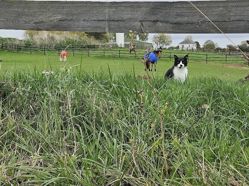 Les Ecuries de Norrey